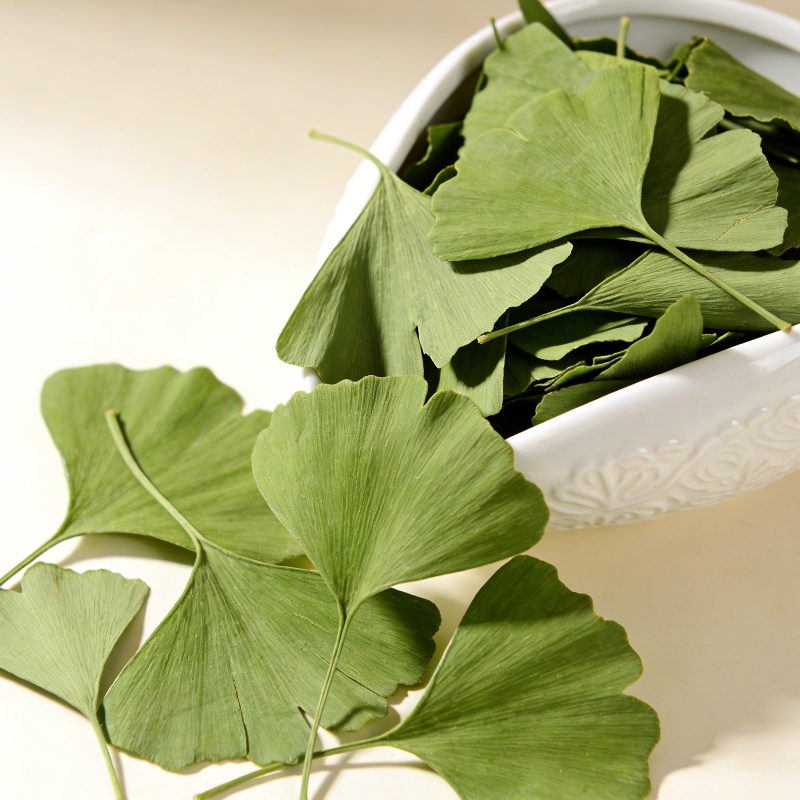 Foglie di Ginkgo Biloba essicc - Quality Home Fragrance recensione e prezzo