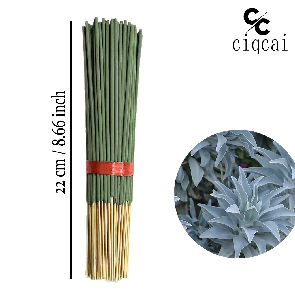 Bastoncini di incenso di salvi - Quality Home Fragrance recensione e prezzo