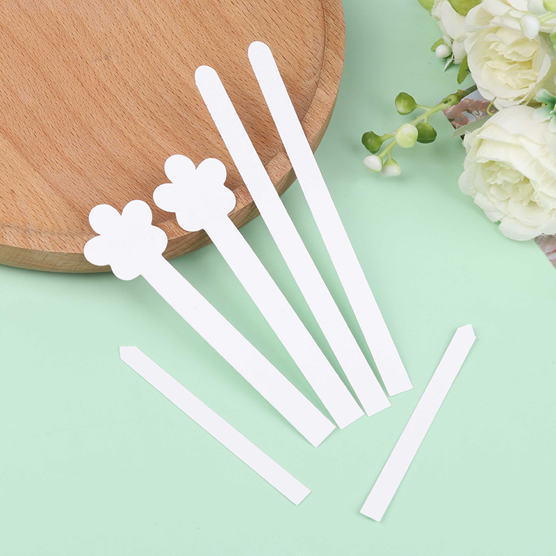 100/500 strisce monouso per te - Home Fragrance Use recensione e prezzo