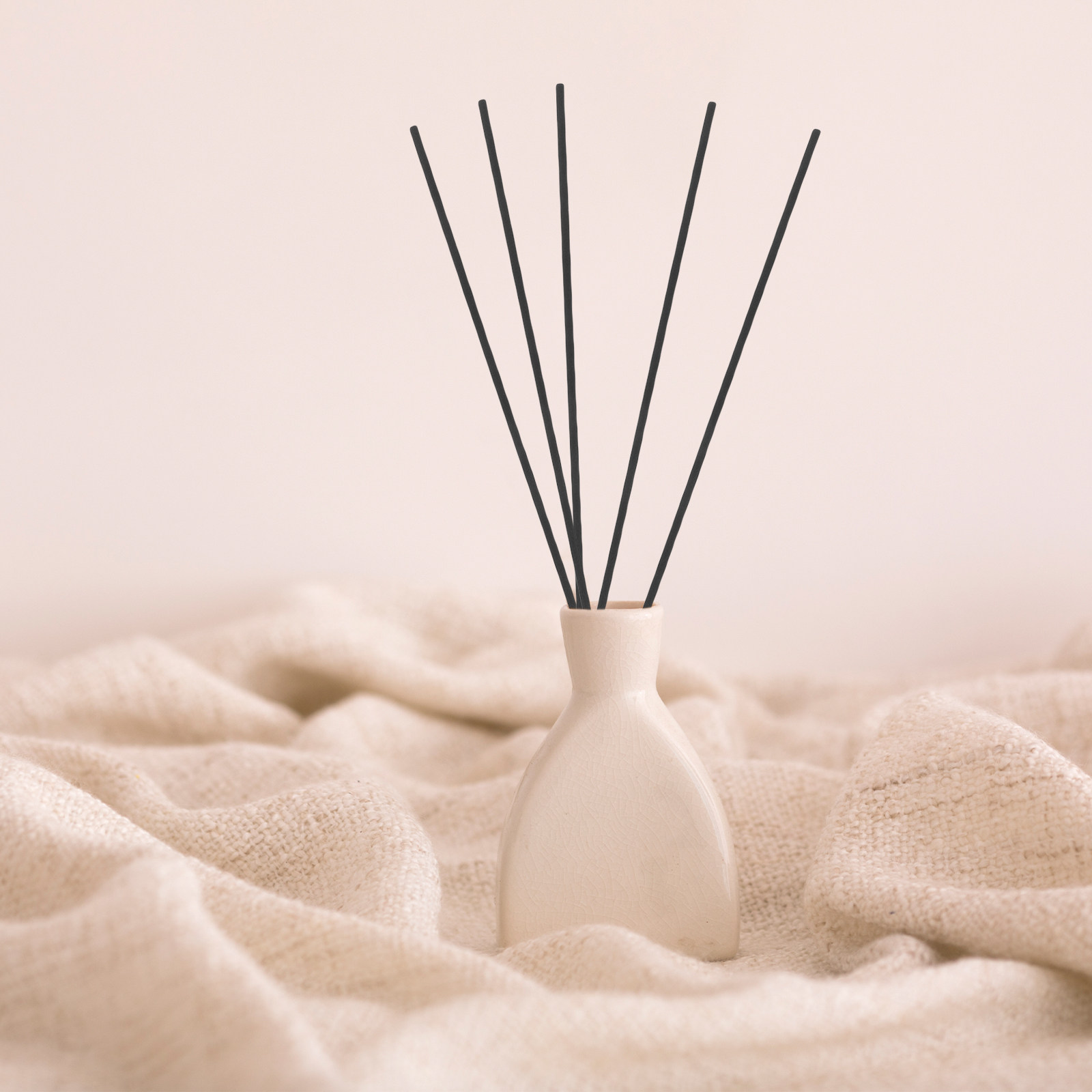 100 Pezzi Bastoncini Diffusori - Home Fragrance Diffusers recensione e prezzo