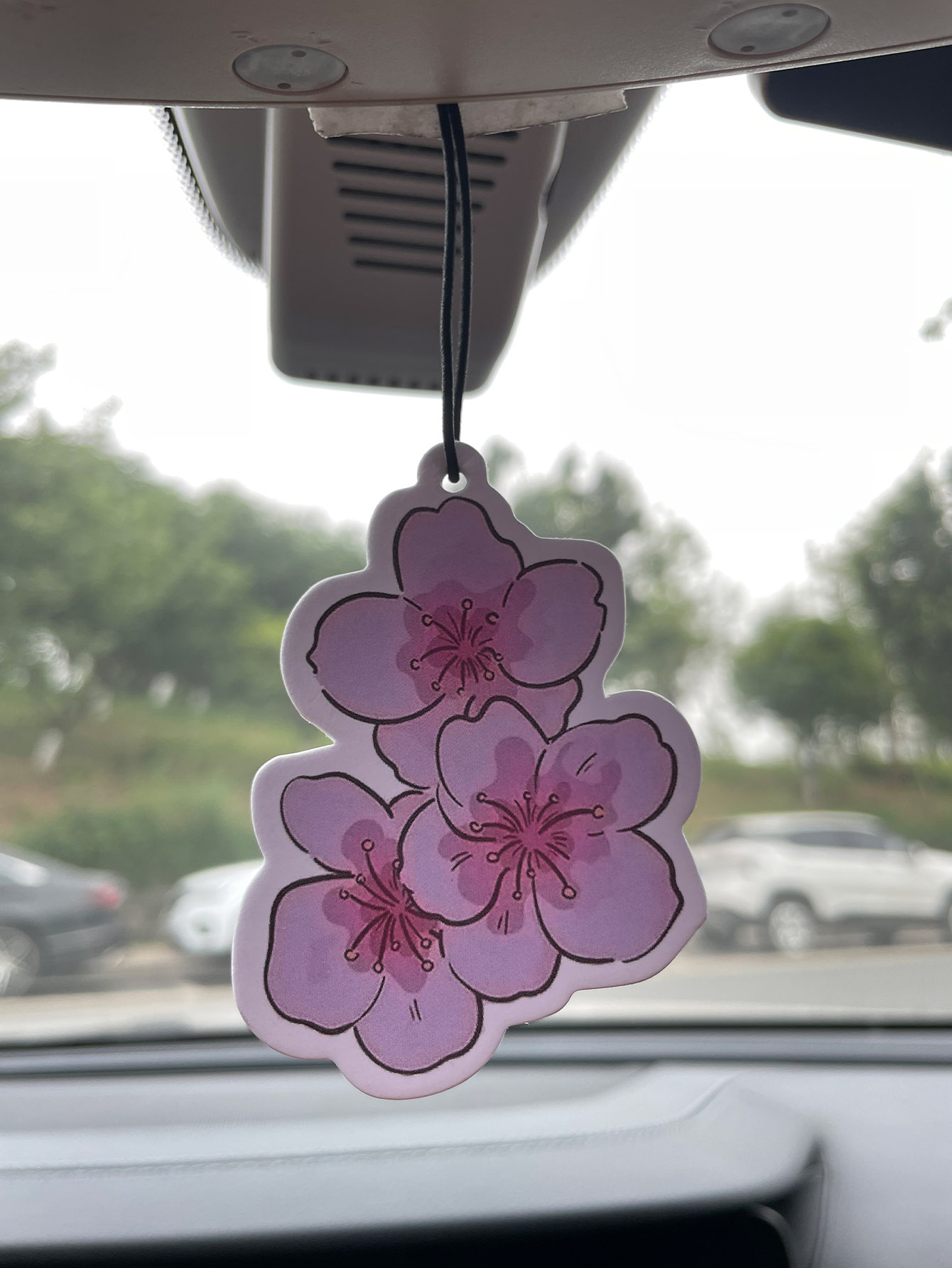 Profumo per Auto Neutro a Cinq - Home Fragrance Use recensione e prezzo