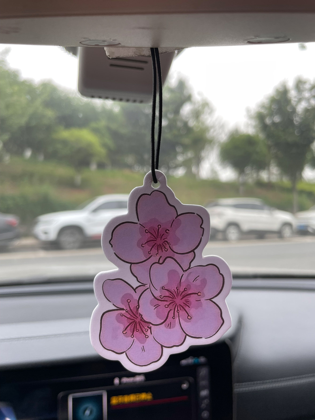 Profumo per Auto Neutro a Cinq - Home Fragrance Use recensione e prezzo