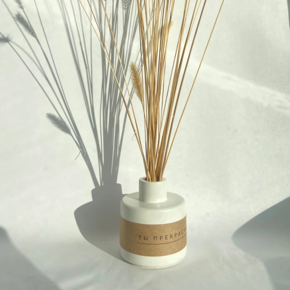 Bottiglia di fragranza argilla - Room Spray Bottle recensione e prezzo