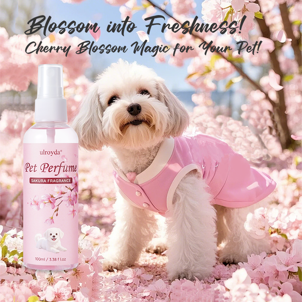 Profumo Spray per Animali Dome - Home Fragrance Use recensione e prezzo